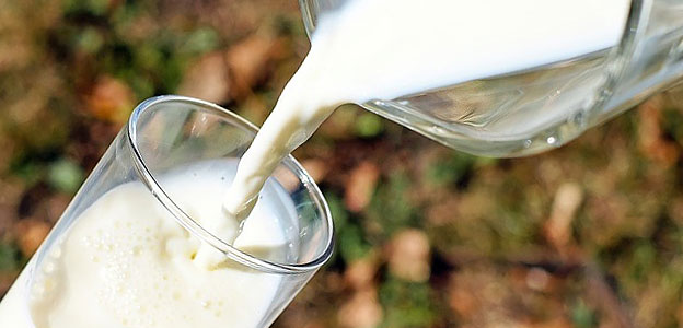 buy skim milk weight loss