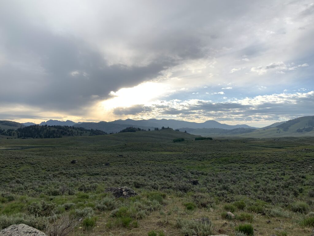 Lamar Valley at dawn.