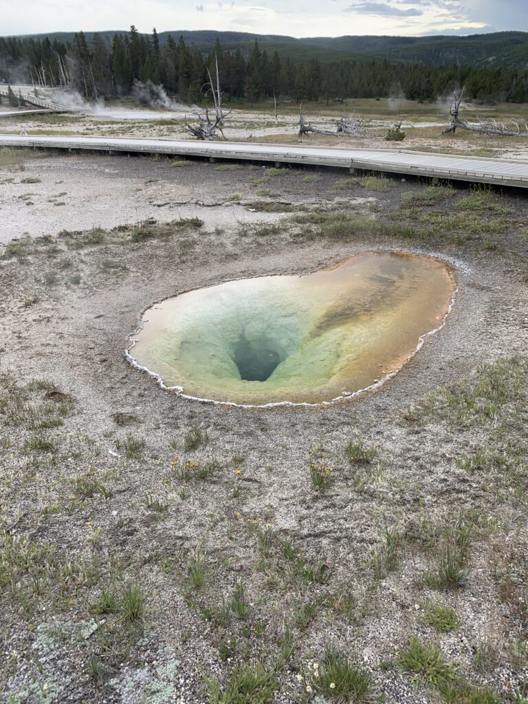 Geothermal feature at Upper Geyser Basin