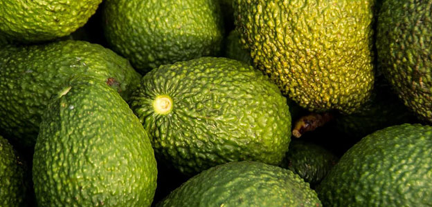 avocado speed up ripening process