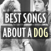best songs about dog