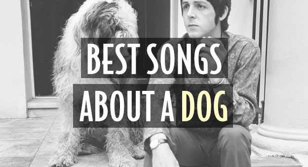 best songs about dog