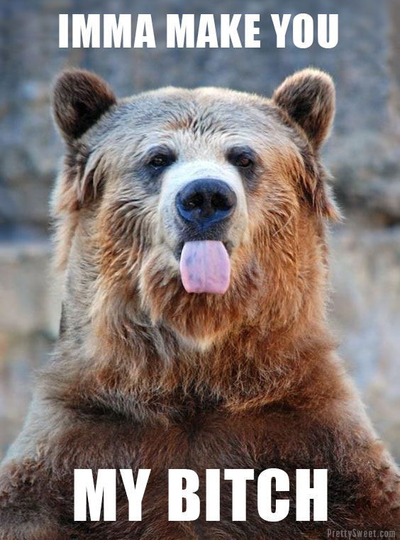 camping bear meme funny