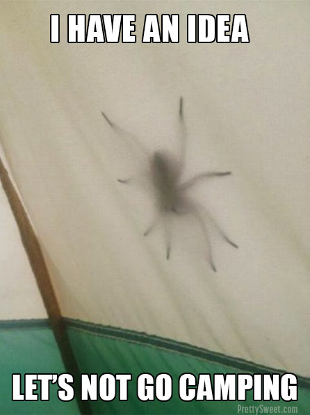 spider tent meme camping