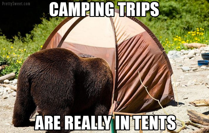 21 Hate Camping Memes: Raccoons, Spiders, Bears, Oh My!