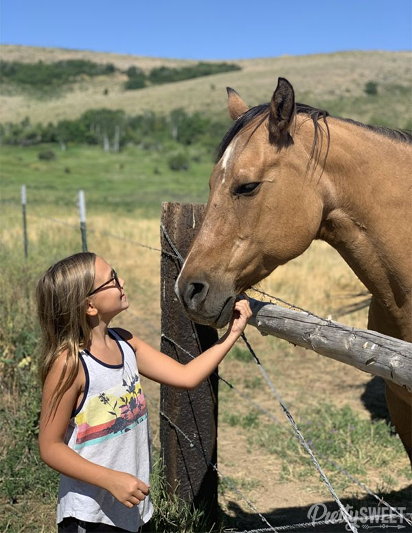 conestoga ranch horse with cameron