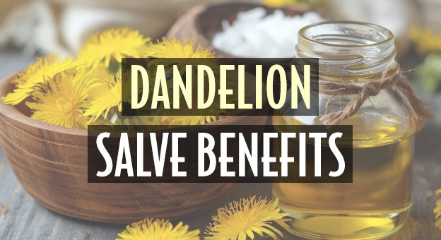dandelion salve benefits
