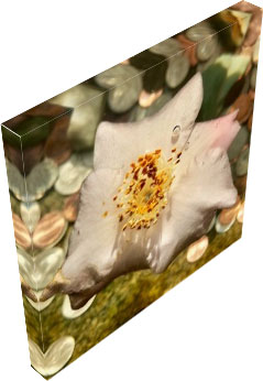 easy canvas prints gallery wrap