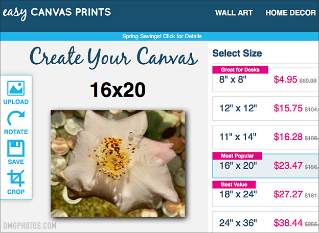 canvas price