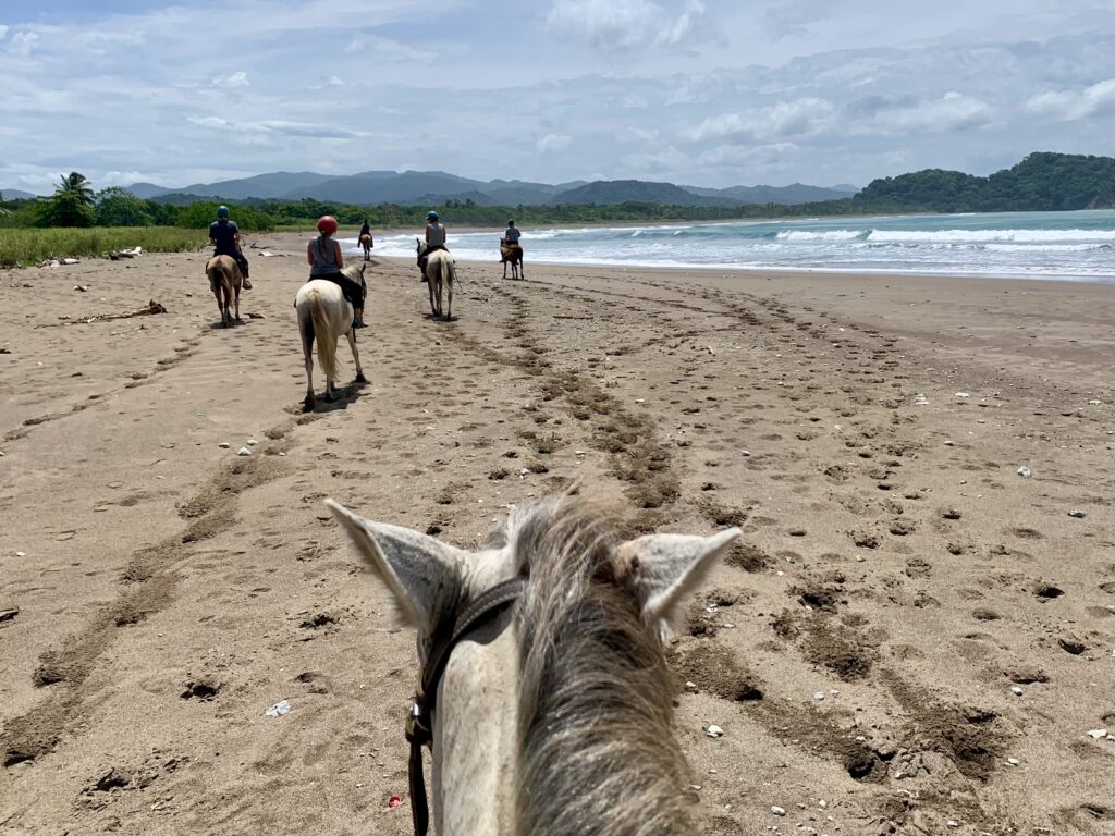 Horseback riding on Playa Buena Vista, Costa Rica