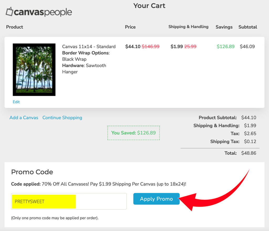 how canvaspeople promo code