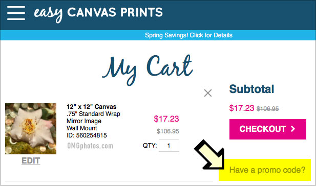 my canvas prints promo code