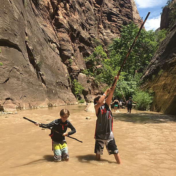 narrows zion walking sticks