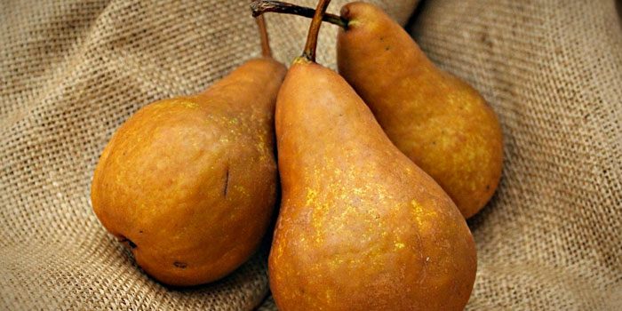 Bosc Pears: Nutrition, Ripening, History & More