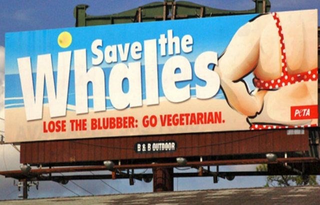 peta fat shame ad