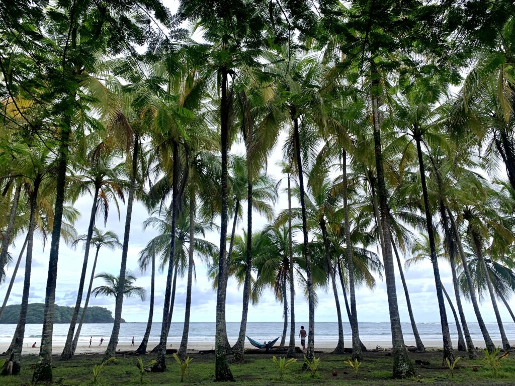 Playa Carillo