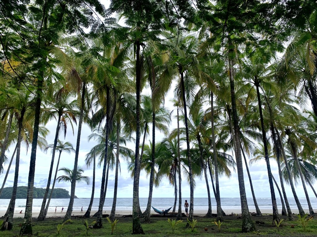 playa Carillo