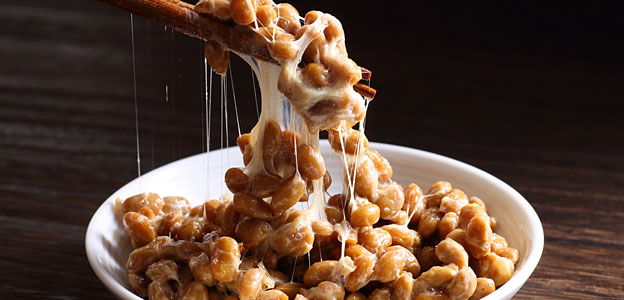 probiotics food natto