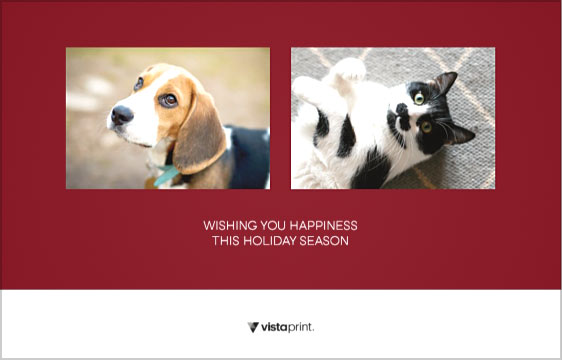 vistaprint holiday cards pets