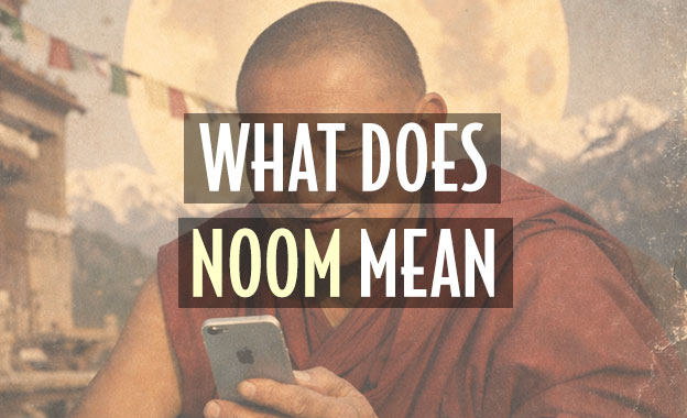 what does noom mean